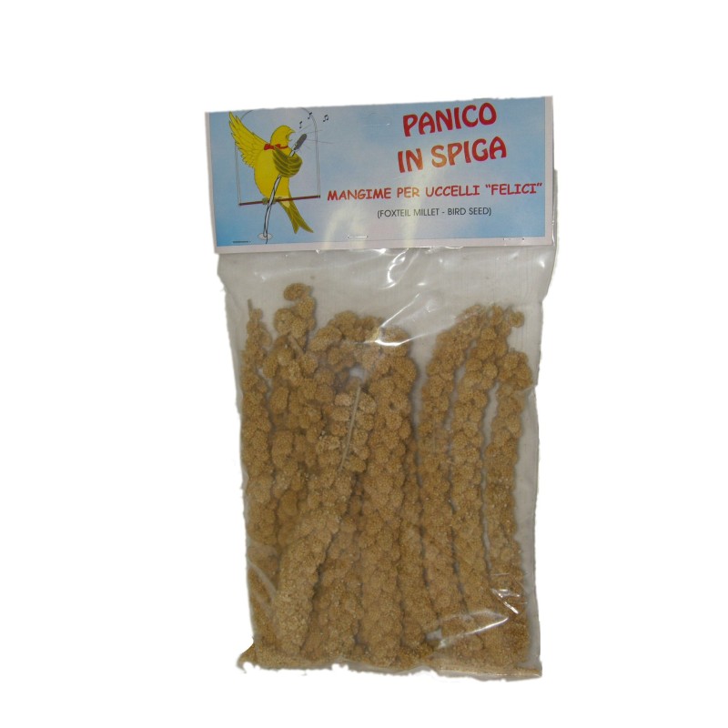 SPIGHE DI PANICO KG.1