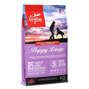 ORIJEN PUPPY LARGE KG.11.4