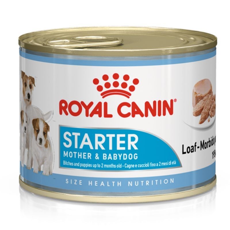 ROYAL CANIN STARTER MOUSSE GR.195