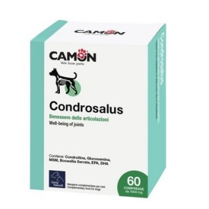 CAMON CONDROSALUS 60 COMPRESSE