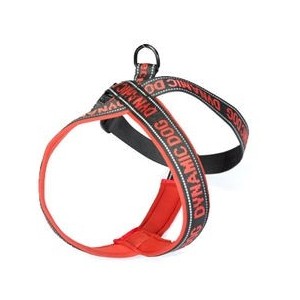 CAMON PETTORINA DINAMIC CM.90