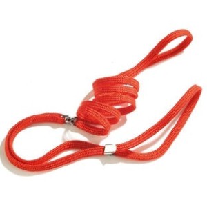 CAMON GUINZAGLIO ESPOSIZIONE CON PINZA MM.10