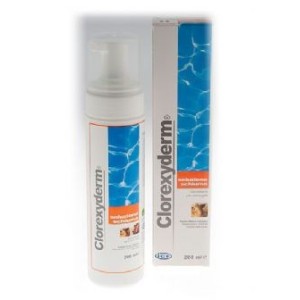 CLOREXYDERM SOLUZIONE SCHIUMA ML.200
