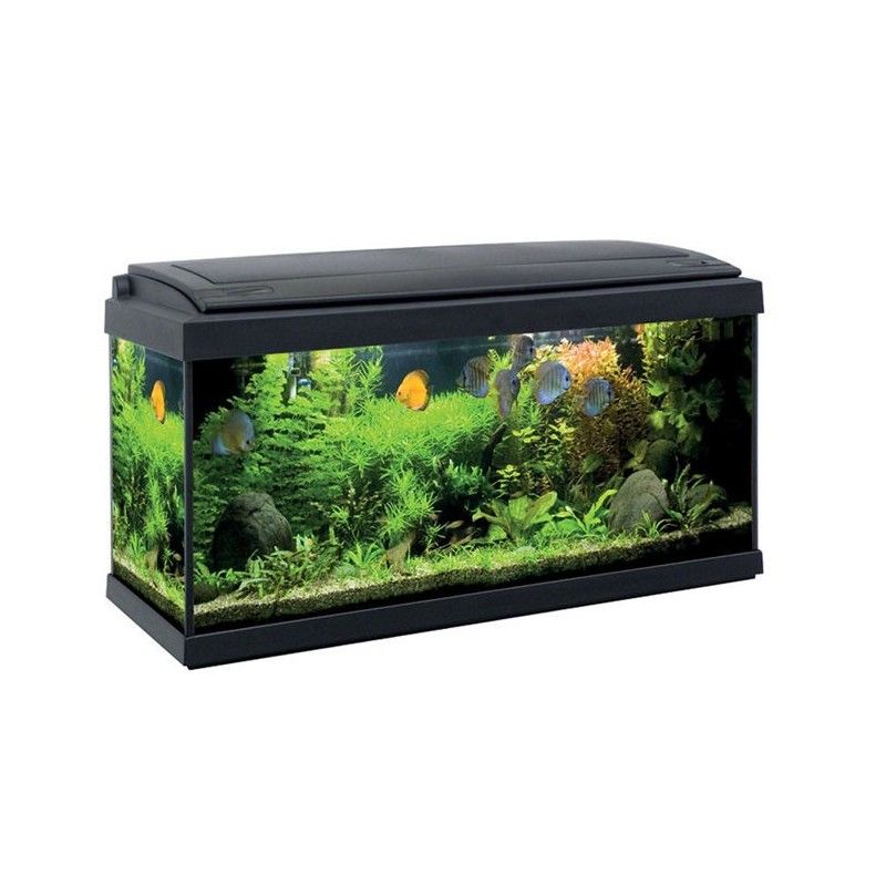 ACQUARIO MILO 80 NERO LED LINE