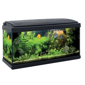 ACQUARIO MILO 80 NERO LED LINE