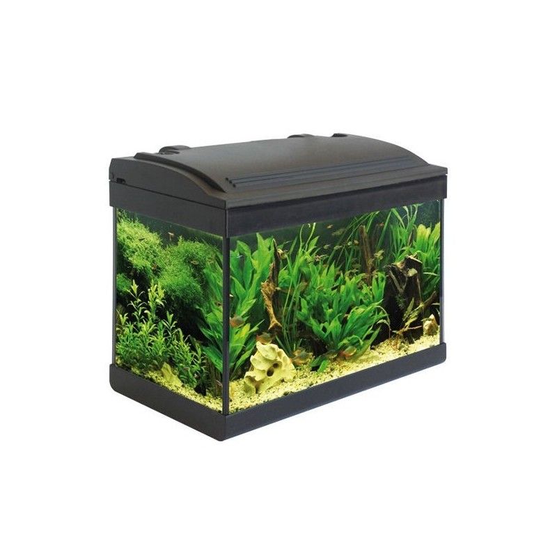 ACQUARIO MILO 43