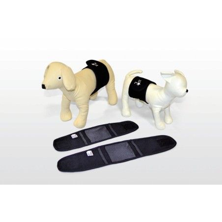 FASCIA IGENICA PER CANI MASCHI TG. 3