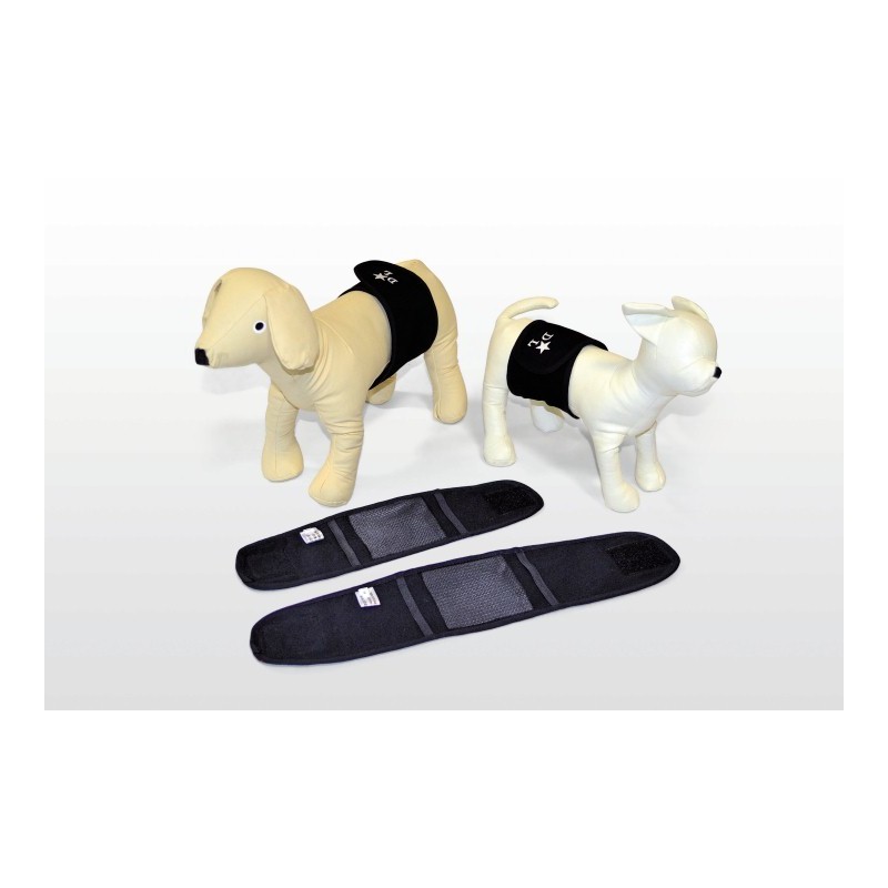 FASCIA IGENICA PER CANI MASCHI TG. 4