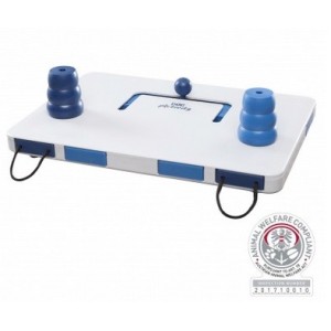 GIOCO INTERATTIVO TRIXIE MOVE2WIN