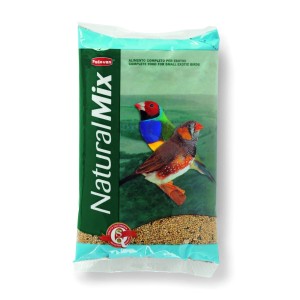 BECCHIME ESOTICI KG.1