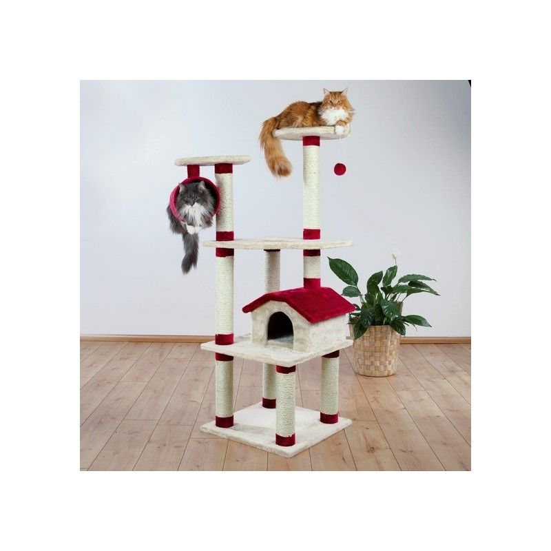 REX TIRAGRAFFI PRAGA 