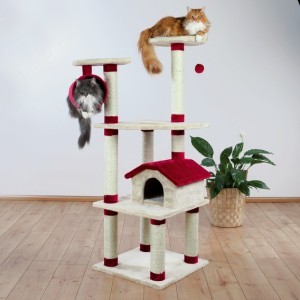 REX TIRAGRAFFI PRAGA 