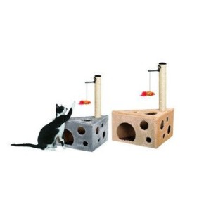 KARLIE TIRAGRAFFI TABBY 