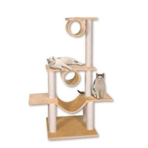 KARLIE TIRAGRAFFI VICTORIA