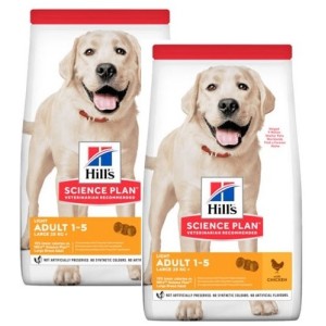 HILL'S SP LIGHT LARGE KG.12 CANE x 2*prezzo riferito alla singola confezione*