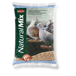 BECCHIME TORTORE KG.25