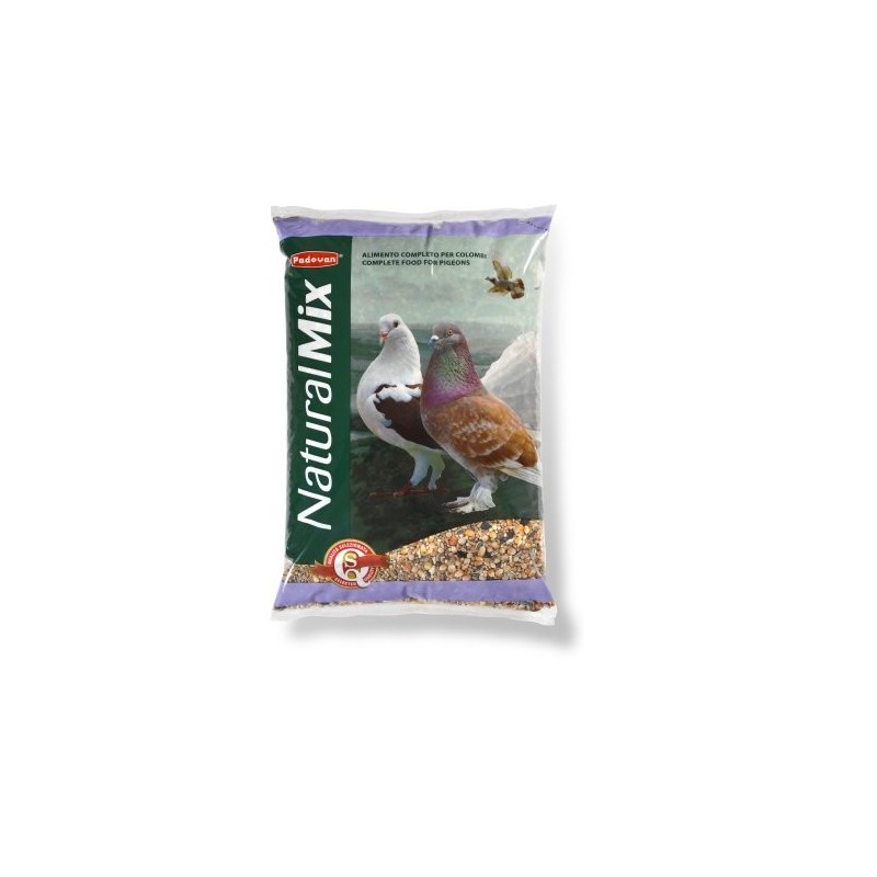 BECCHIME COLOMBI KG.5