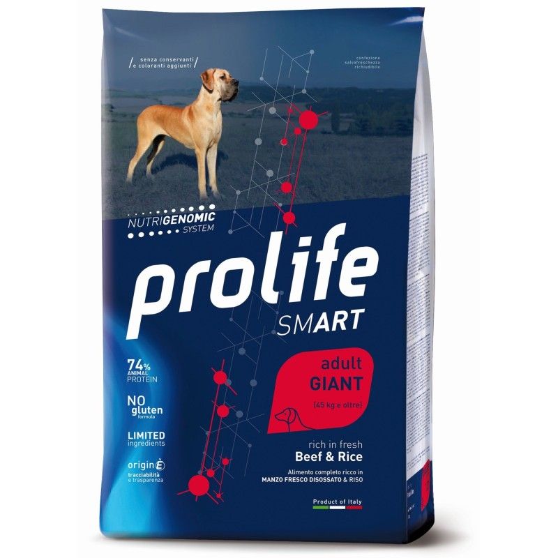 PROLIFE..DOG ADULT GIANT KG.12