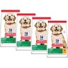 HILL'S SCIENCE PLAN LARGE BREED PUPPY ALIMENTO CON POLLO KG.12 *** PROMO 4 SACCHI****
