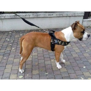 TRE PONTI PETTORINA PLUS FASCIA LARGA MISURA "L"