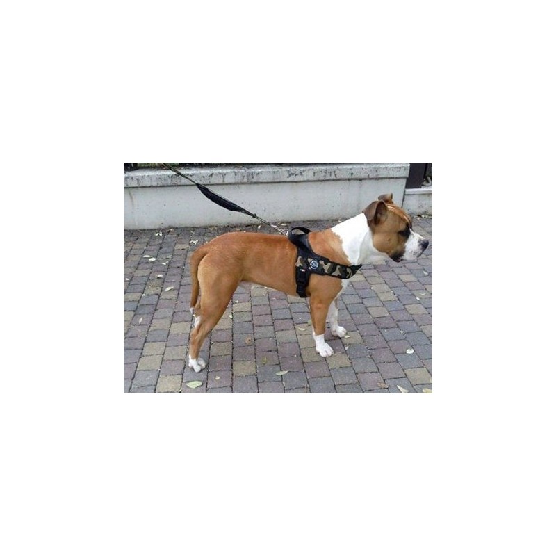 TRE PONTI PETTORINA PLUS FASCIA LARGA MISURA "XL"