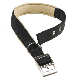 COLLARE NYLON IMBOTTITO DAYTONA MM.40 X 69 CM