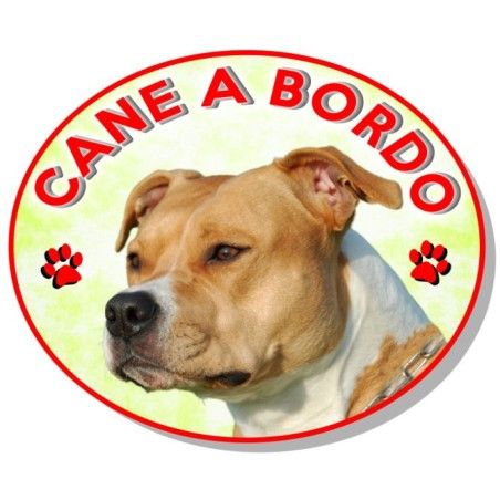 ADESIVO "CANE A BORDO" AMERICAN -PITBUL