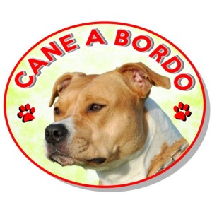 ADESIVO "CANE A BORDO" AMERICAN -PITBUL