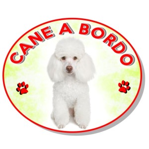 ADESIVO "CANE A BORDO" BARBONCINO BIANCO