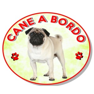 ADESIVO "CANE A BORDO" CARLINO