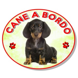 ADESIVO "CANE A BORDO" BASSOTTO