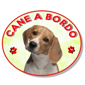 ADESIVO "CANE A BORDO" BEAGLE