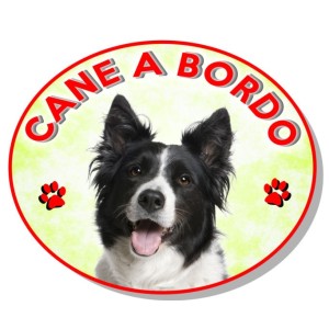 ADESIVO "CANE A BORDO" BORDER COLLIE