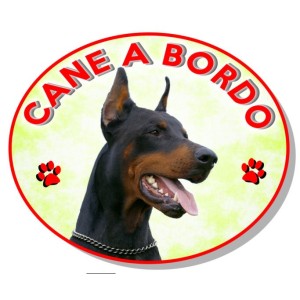 ADESIVO "CANE A BORDO" DOBERMANN