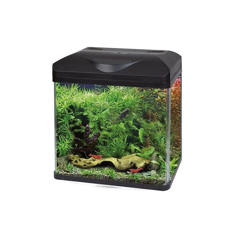 ACQUARIO LAGUNA LED 30 