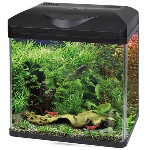 ACQUARIO LAGUNA LED 30 