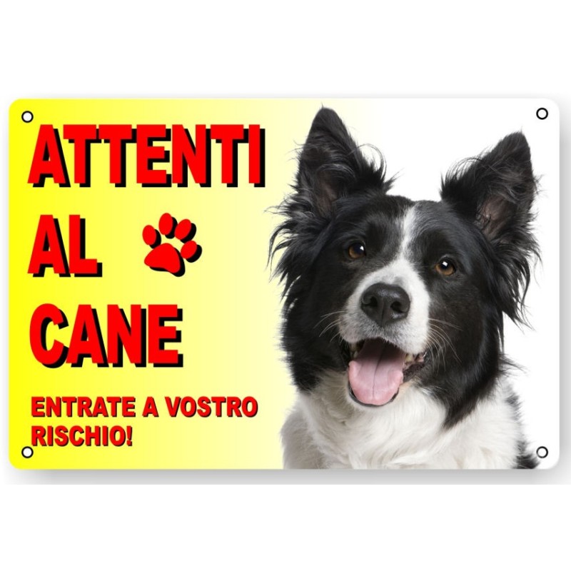 CARTELLO ATTENTI AL CANE "BORDER COLLIE"