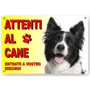CARTELLO ATTENTI AL CANE "BORDER COLLIE"