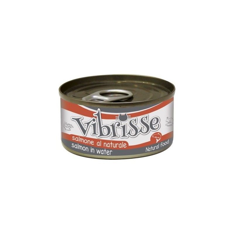 VIBRISSE GR.70 SALMONE