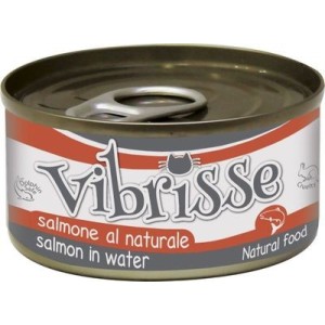 VIBRISSE GR.70 SALMONE