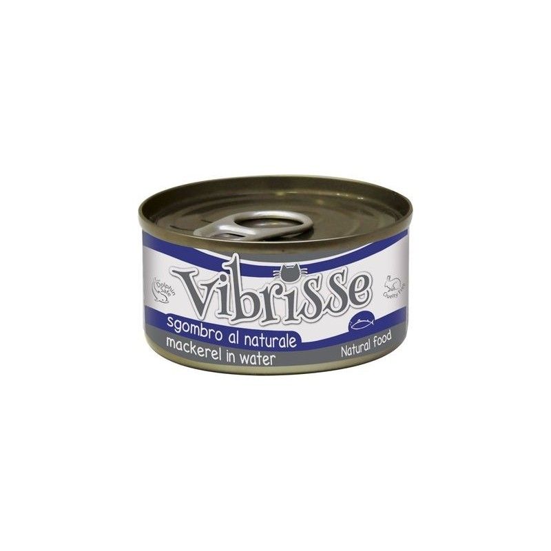 VIBRISSE GR.70 SGOMBRO 