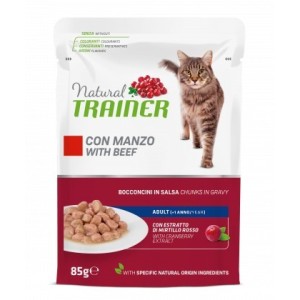 TRAINER BUSTA GR.85 ADULT MANZO 