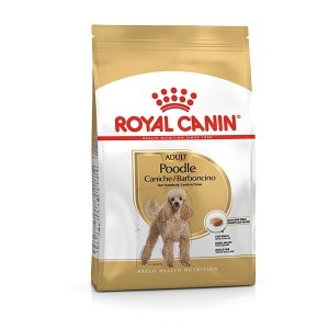ROYAL CANIN BARBONCINO GR.500 (POODLE)