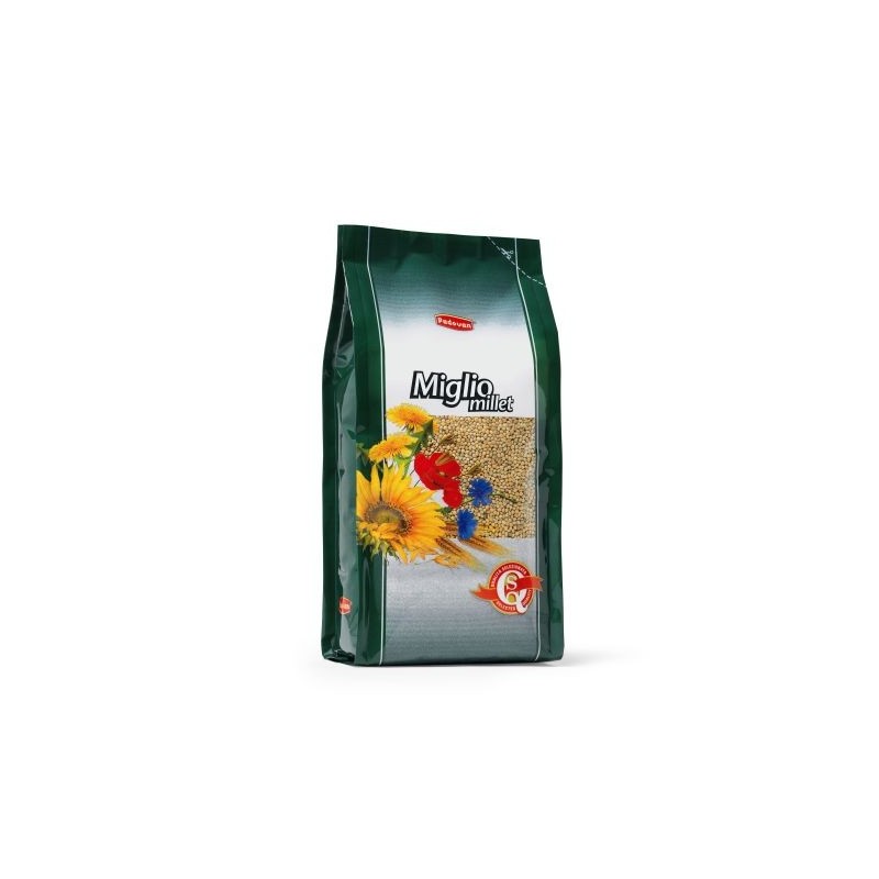 MIGLIO PAGLIERINO KG.20