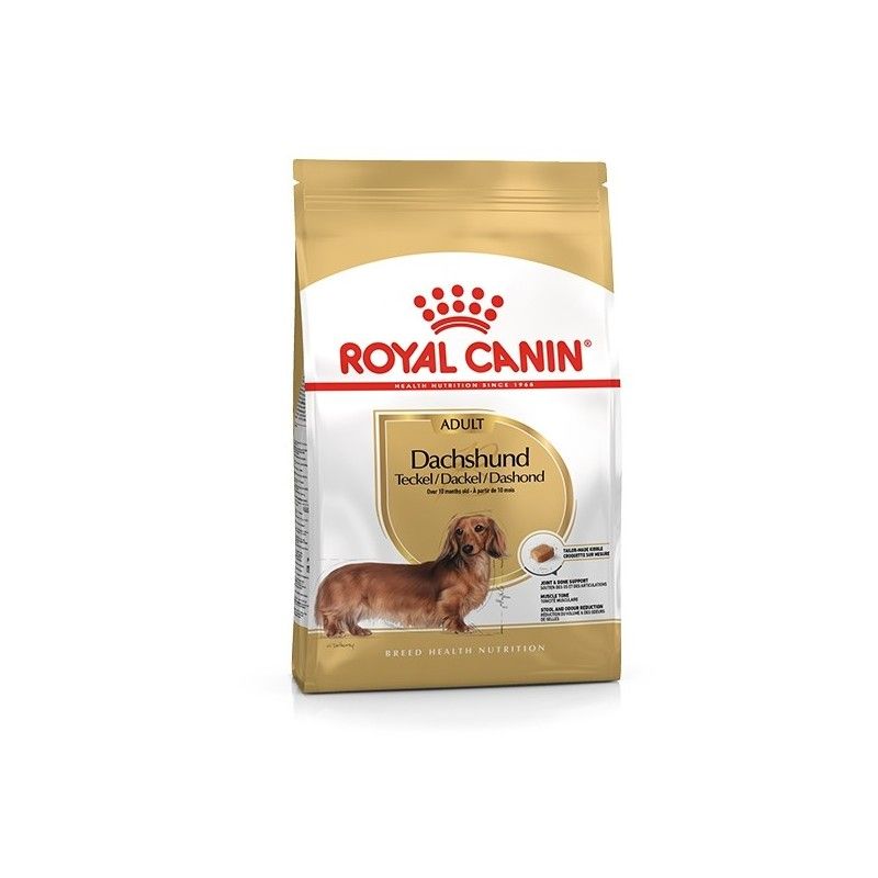 ROYAL CANIN BASSOTTO KG. 1,5 (DACHSHUND)