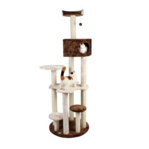 REX TIRAGRAFFI SIDNEY 