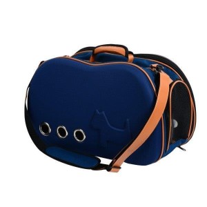 TRASPORTINO MERCURIO 