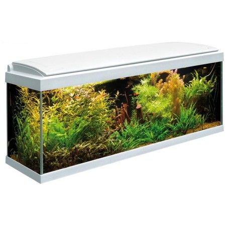 ACQUARIO MILO 100 LED BIANCO 