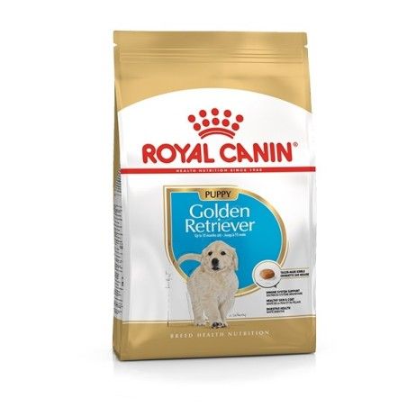 ROYAL CANIN GOLDEN RETRIEVER  JUNIOR KG.12