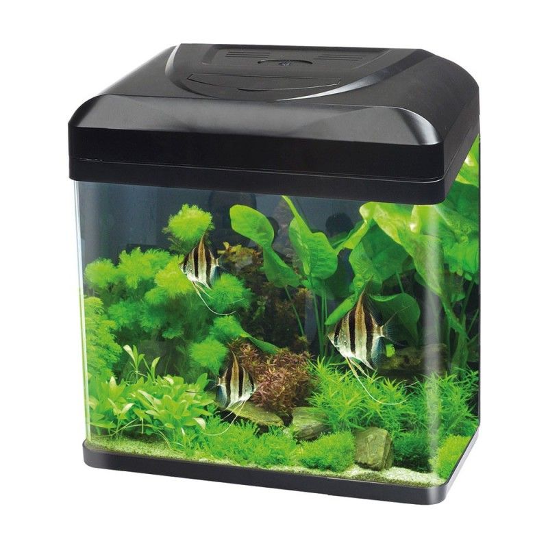 ACQUARIO BILLY 16 NERO